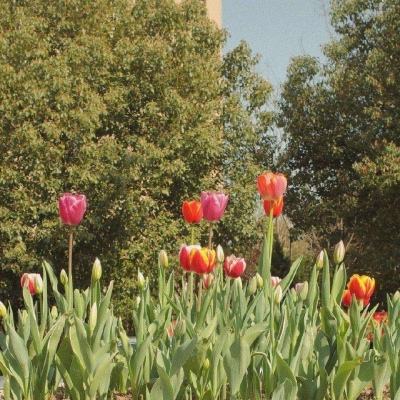 半岛bob综合登入