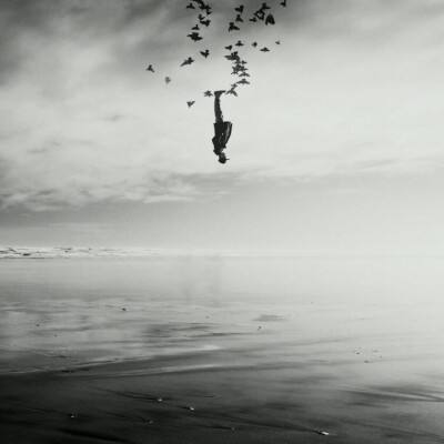 BOB·体育综合(综合)APP下载安装app下载截图