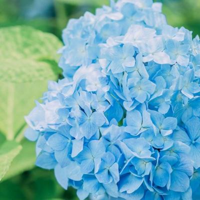 云顶集团手机app下载